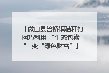 微山县鲁桥镇秸秆打捆巧利用 “生态包袱” 变“绿色财富”