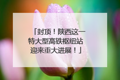 封顶！陕西这一特大型高铁枢纽站迎来重大进展！