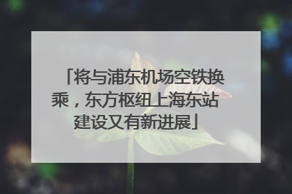将与浦东机场空铁换乘，东方枢纽上海东站建设又有新进展