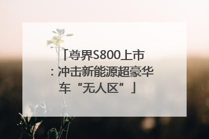 尊界S800上市：冲击新能源超豪华车“无人区”