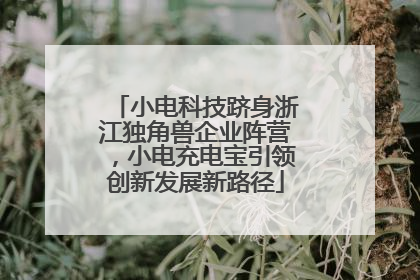 小电科技跻身浙江独角兽企业阵营，小电充电宝引领创新发展新路径
