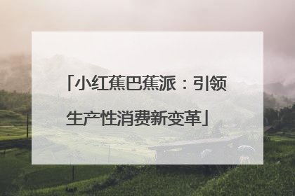 小红蕉巴蕉派：引领生产性消费新变革