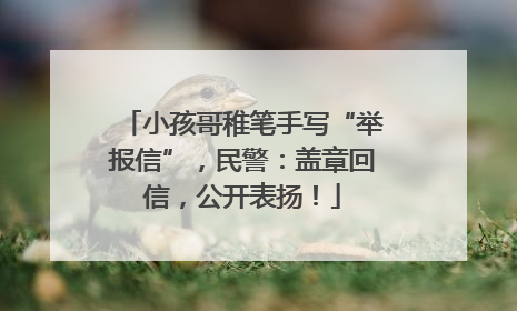 小孩哥稚笔手写“举报信”，民警：盖章回信，公开表扬！