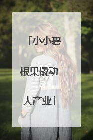 小小碧根果撬动大产业