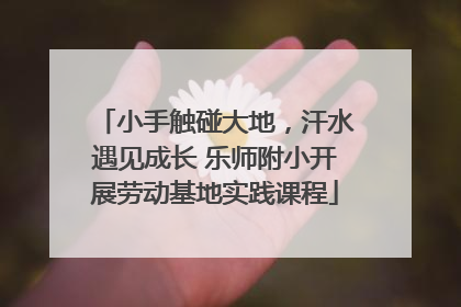 小手触碰大地，汗水遇见成长 乐师附小开展劳动基地实践课程