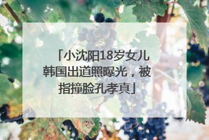 小沈阳18岁女儿韩国出道照曝光，被指撞脸孔孝真