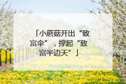 小蘑菇开出“致富伞”，撑起“致富半边天”