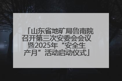 山东省地矿局鲁南院召开第三次安委会会议暨2025年“安全生产月”活动启动仪式