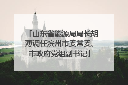 山东省能源局局长胡薄调任滨州市委常委、市政府党组副书记