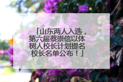 山东两人入选，第六届蔡崇信以体树人校长计划提名校长名单公布！