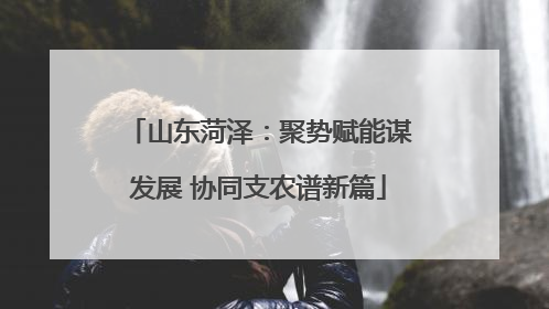 山东菏泽：聚势赋能谋发展 协同支农谱新篇