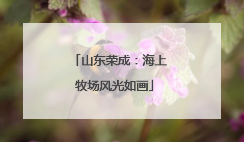 山东荣成：海上牧场风光如画