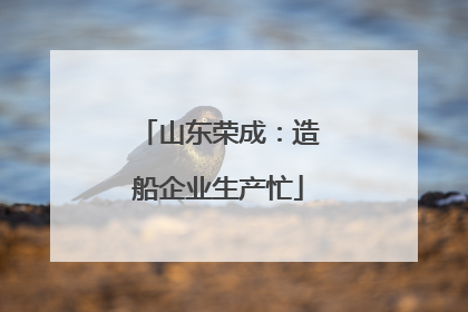 山东荣成：造船企业生产忙