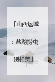 山西运城：盐湖捞虫别样美