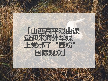 山西高平戏曲课堂迎来海外华媒 上党梆子“圈粉”国际观众