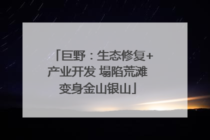 巨野：生态修复+产业开发 塌陷荒滩变身金山银山
