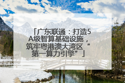 广东联通：打造5A级智算基础设施，筑牢粤港澳大湾区“第一算力引擎”