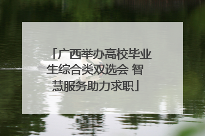 广西举办高校毕业生综合类双选会 智慧服务助力求职