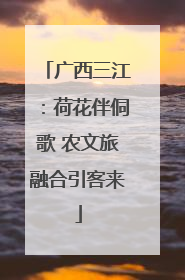 广西三江：荷花伴侗歌 农文旅融合引客来