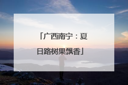 广西南宁：夏日路树果飘香