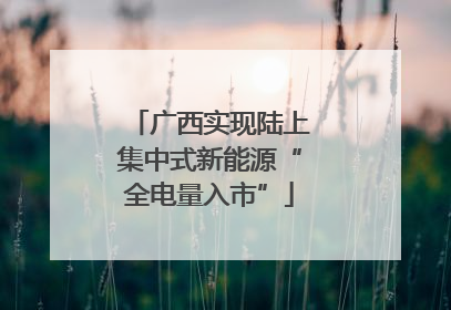 广西实现陆上集中式新能源“全电量入市”