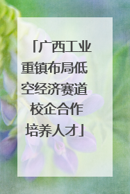 广西工业重镇布局低空经济赛道 校企合作培养人才