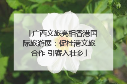 广西文旅亮相香港国际旅游展：促桂港文旅合作 引客入壮乡