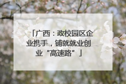 广西：政校园区企业携手，铺就就业创业“高速路”
