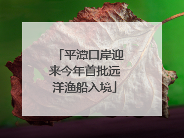 平潭口岸迎来今年首批远洋渔船入境