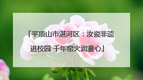 平顶山市湛河区：汝瓷非遗进校园 千年窑火润童心
