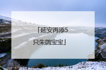延安再添5只朱鹮宝宝