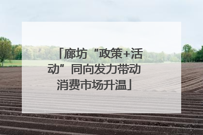 廊坊“政策+活动”同向发力带动消费市场升温
