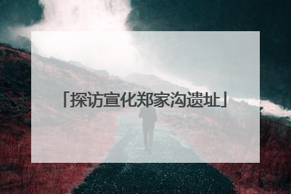 探访宣化郑家沟遗址