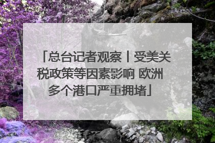 总台记者观察丨受美关税政策等因素影响 欧洲多个港口严重拥堵