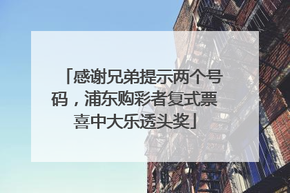 感谢兄弟提示两个号码，浦东购彩者复式票喜中大乐透头奖
