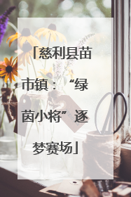 慈利县苗市镇：“绿茵小将”逐梦赛场