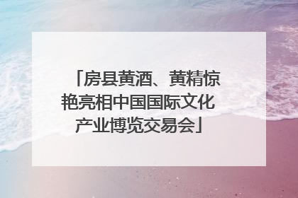 房县黄酒、黄精惊艳亮相中国国际文化产业博览交易会