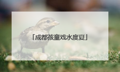 成都孩童戏水度夏