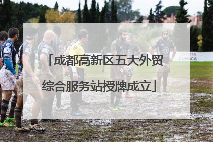 成都高新区五大外贸综合服务站授牌成立