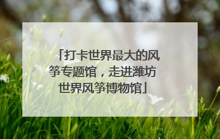 打卡世界最大的风筝专题馆，走进潍坊世界风筝博物馆