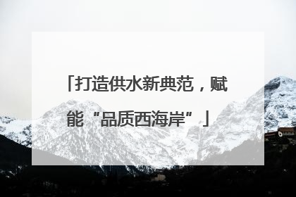 打造供水新典范，赋能“品质西海岸”