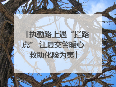 执勤路上遇“拦路虎” 江夏交警暖心救助化险为夷