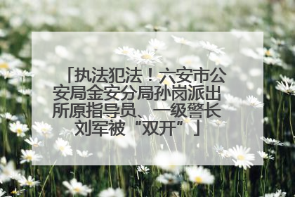 执法犯法！六安市公安局金安分局孙岗派出所原指导员、一级警长刘军被“双开”
