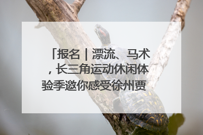 报名｜漂流、马术，长三角运动休闲体验季邀你感受徐州贾汪的“夏日限定”