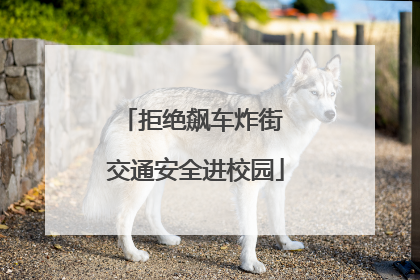 拒绝飙车炸街 交通安全进校园