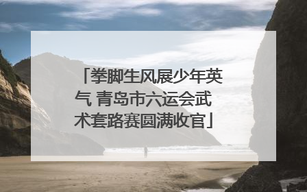 拳脚生风展少年英气 青岛市六运会武术套路赛圆满收官
