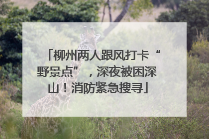柳州两人跟风打卡“野景点”，深夜被困深山！消防紧急搜寻