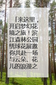 来这里，开启梦幻花境之旅！滨江森林公园绣球花展邀你共赴一场与云朵、花儿的浪漫之约