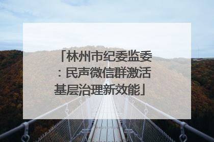 林州市纪委监委：民声微信群激活基层治理新效能