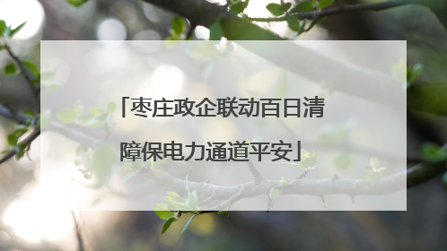 枣庄政企联动百日清障保电力通道平安